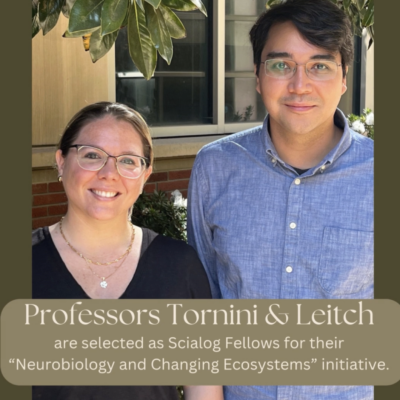 Professors Tornini and Leitch are selected as Scialog Fellows for their “Neurobiology and Changing Ecosystems” initiative